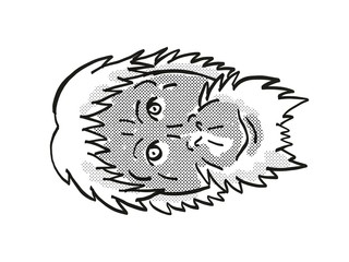 Sumatran Orang-utan or Pongo abelii Endangered Wildlife Cartoon Mono Line Drawing