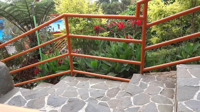 stone steps. these steps look strong and have artistic value