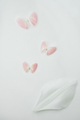 さくら貝と百合の花びら　縦