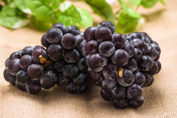 秋の味覚　ブドウ