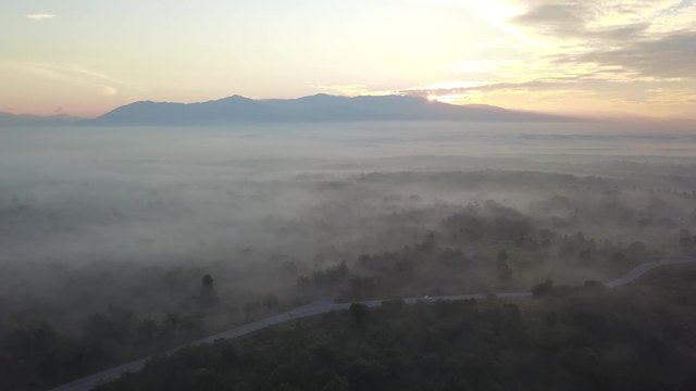 Aerial view car pass through the road near the forest in misty morning during sunrise at MBI Desaku, Kulim, Kedah, Malaysia.