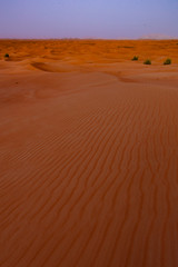 sand dunes in the desert