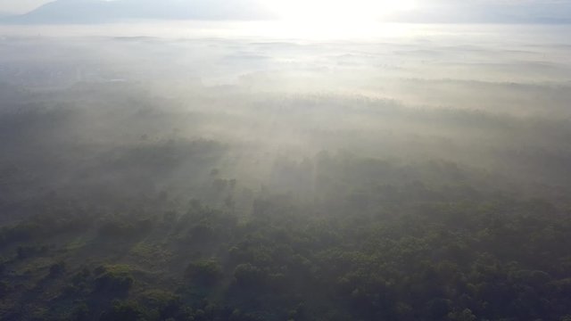 Drone shot sun light shine at the forest with misty fog near MBI Desaku, Kulim, Kedah, Malaysia.