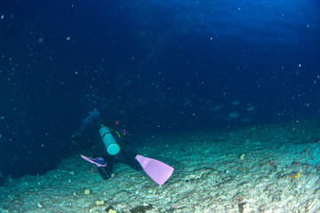 パラオ_ペリリュー_スキューバダイビング