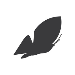 Vector - Butterfly conceptual simple, colorful icon. Logo. Vector