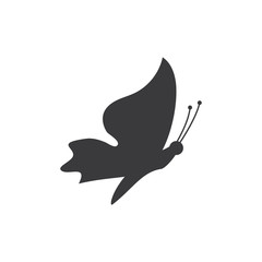 Vector - Butterfly conceptual simple, colorful icon. Logo. Vector