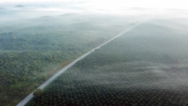 Aerial view car on the road in foggy misty morning near MBI Desaku, Kulim, Kedah, Malaysia.