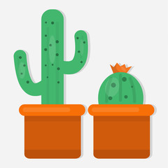 cactus on the pot isolated vector illustration 