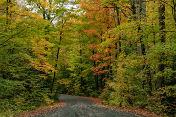 Back Road tour fall colours (colors) landscape