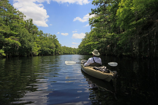 Active senior kayaking on Fisheating Creek, Florida on calm early summer afternoon amidst clouds and Cypress Trees reflected in water.