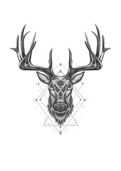 buck head line art. bull elk style drawing. deer head illustration with ornament design