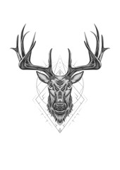 buck head line art. bull elk style drawing. deer head illustration with ornament design