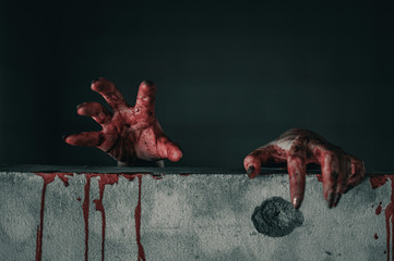 Horror ghost woman stretches her hand with resentment  torture and ask for help with blood in hand,...