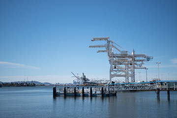 Fototapeta premium cranes in the port of Oakland