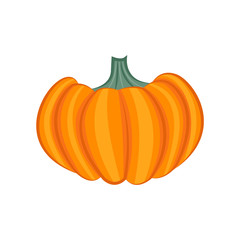 Pumpkin isolated on white background. Vector illustration.