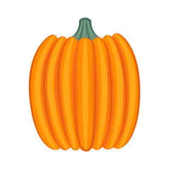 Pumpkin isolated on white background. Vector illustration.