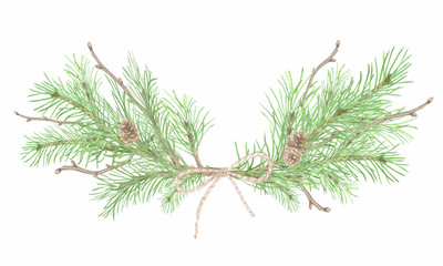 Watercolor spruce branches and cones
