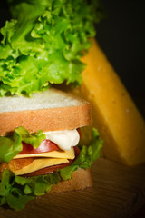 Sandwich close up