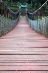 Suspension bridge