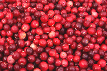 Cranberry. Cranberry background. Fresh cranberries. Food background.