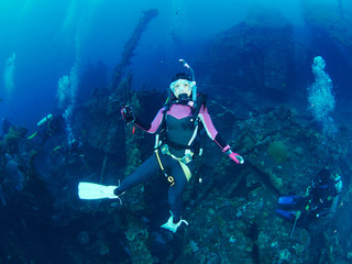 Naklejka na ściany i meble Scuba diver with coral