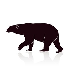 bear silhouette vector isolated on white backround