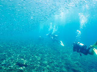 Naklejka na ściany i meble Scuba diver with coral