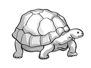 Galapagos Tortoise or Geochelone Nigra Endangered Wildlife Cartoon Mono Line Drawing