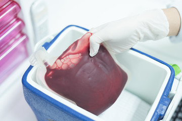 Selective focus scientist hand holding red blood bag in storage blood bag for transfer from...