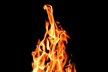 Fire, flames on a black background isolate. Concept fire grill heat weekend barbecue.