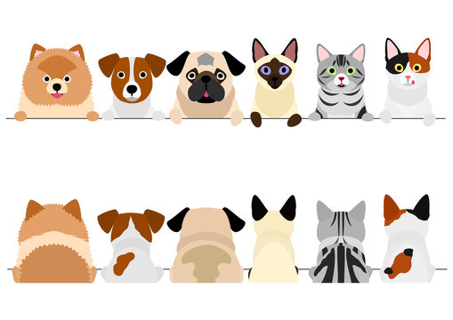 small dogs and cats border set, upper body, front and back
