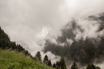 Clouds over forest, Austrian Alps, Austria