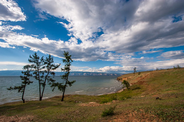 Fototapeta na wymiar Thin trees on the shore of Lake Baikal. Colorful landscape with gorgeous clouds on the sky. Mountains on the horizon, the waves on the lake. Green grass and sand.