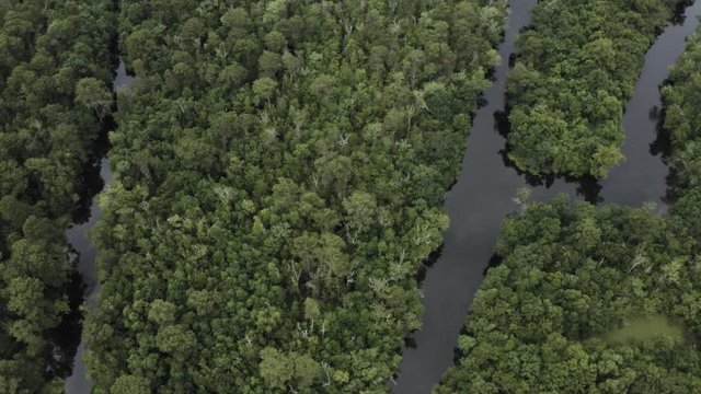 New Orleans Drone Footage Of City Scape