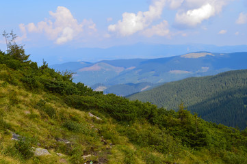 Fototapeta premium Panoramic view from Hoverla, Carpathian mountains, Ukraine. Horizontal outdoors shot