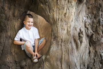 happy lovely young boy wearing shorts and white shirt sitting in the tree