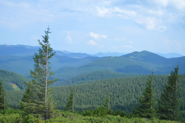 Way to Hoverla, Carpathian mountains, Ukraine.