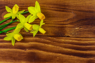 Yellow daffodil flowers on wooden background. Greeting card for Valentine's Day, Women's Day and Mother's Day. Top view, copy space