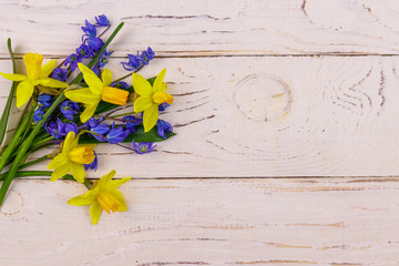 Bouquet of yellow daffodils and blue scilla flowers on white wooden background. Greeting card for...