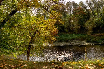 Golden autumn off the river.