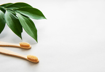 Natural bamboo toothbrushes