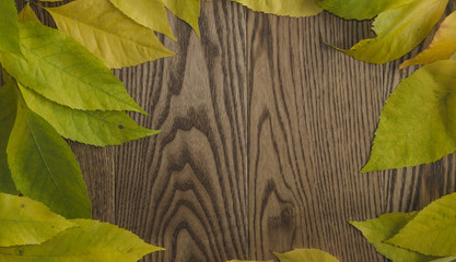 Frame of autumn leaves on a wooden background