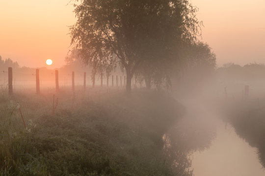 Sunrise by the  creek at a foggy morning in Menen, Belgium