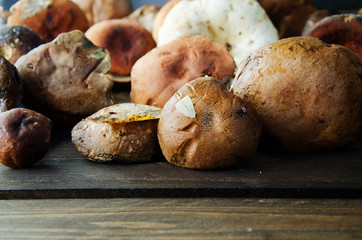 Forest mushrooms: caps of white breast, brown boletus, milkweed close-up