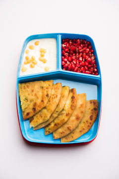 Lunch Box / Tiffin for Indian kids, includes Aloo Paratha, curd boondi and pomegranate seeds, selective focus