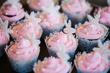 cupcake in pastel colors with snowflakes on it