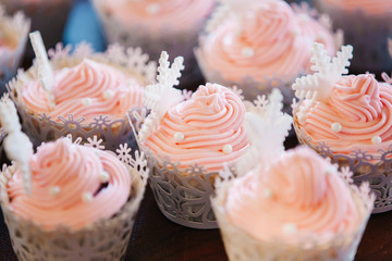 cupcake in pastel colors with snowflakes on it