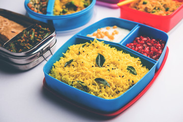 group of Lunch Box / Tiffin for Indian kids, showing variety or multiple option or combination of healthy food for your school going children