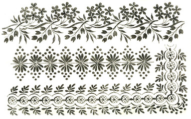 set of floral elements for design