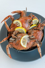 Cooked red crabs, delicious healthy seafood